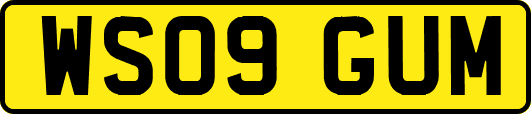 WS09GUM