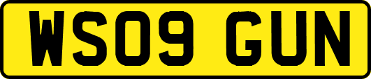 WS09GUN