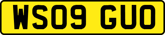 WS09GUO