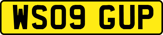 WS09GUP
