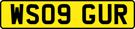 WS09GUR