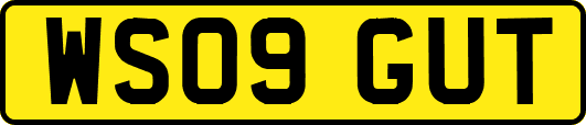 WS09GUT