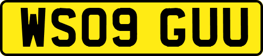 WS09GUU