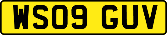 WS09GUV