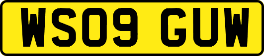 WS09GUW