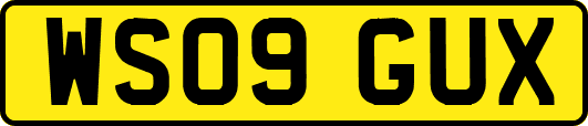 WS09GUX