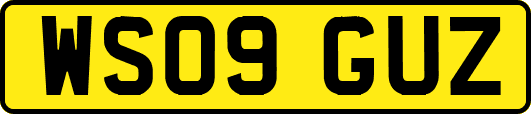 WS09GUZ