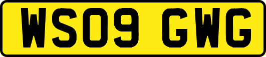 WS09GWG