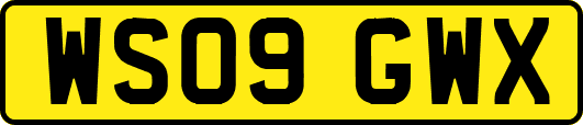WS09GWX