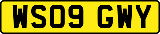 WS09GWY