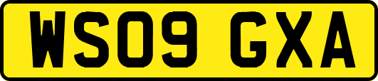 WS09GXA