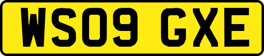 WS09GXE
