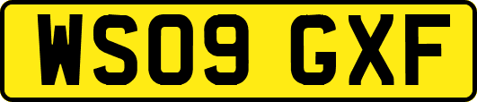 WS09GXF