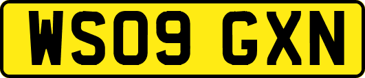 WS09GXN