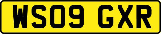 WS09GXR