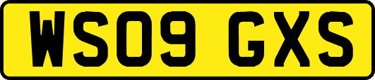 WS09GXS
