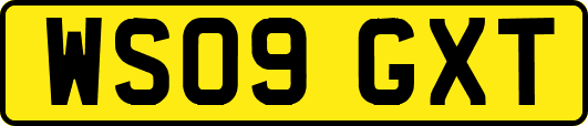 WS09GXT