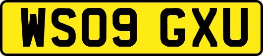 WS09GXU