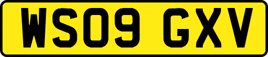 WS09GXV