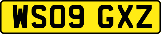 WS09GXZ