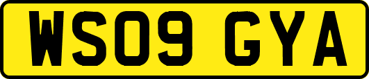 WS09GYA