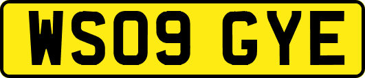 WS09GYE
