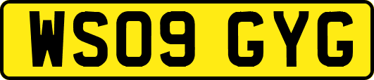 WS09GYG
