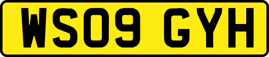WS09GYH
