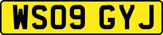 WS09GYJ