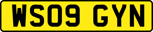 WS09GYN