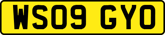 WS09GYO