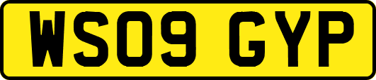 WS09GYP