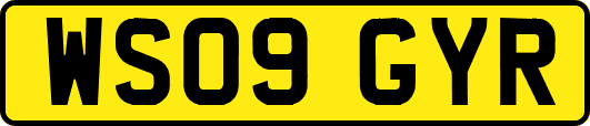 WS09GYR