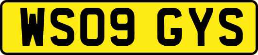 WS09GYS