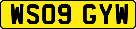 WS09GYW