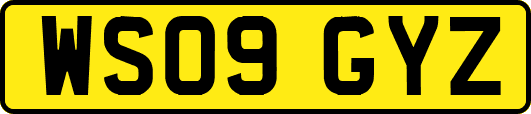 WS09GYZ