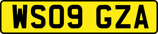 WS09GZA