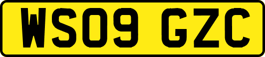 WS09GZC