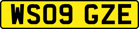 WS09GZE