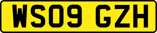 WS09GZH