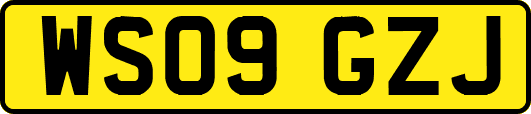 WS09GZJ