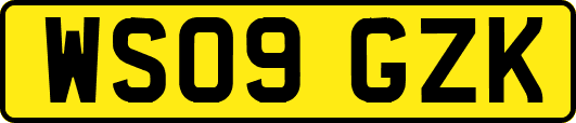 WS09GZK