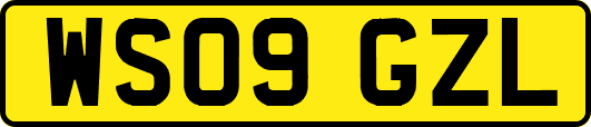 WS09GZL