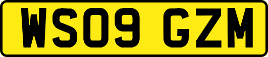 WS09GZM