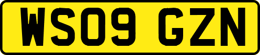 WS09GZN