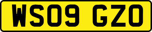 WS09GZO