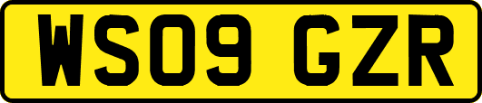 WS09GZR