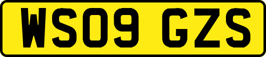 WS09GZS