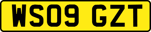 WS09GZT