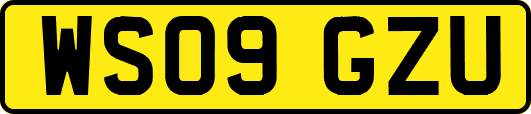 WS09GZU